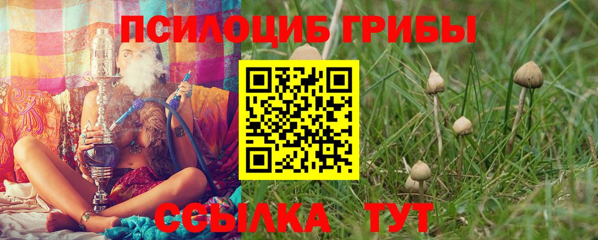 Галлюциногенные грибы Cubensis Богородицк