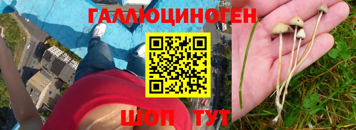 Галлюциногенные грибы ЛСД  Вход с VPN  Богородицк 